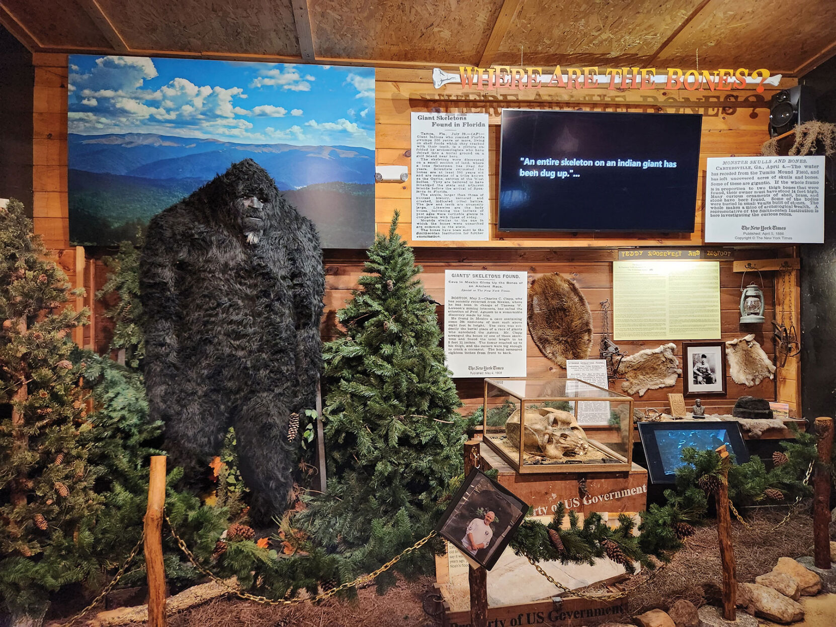 EXPEDITION:BIGFOOT! The Sasquatch Museum